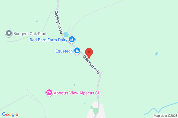 Willow G.S