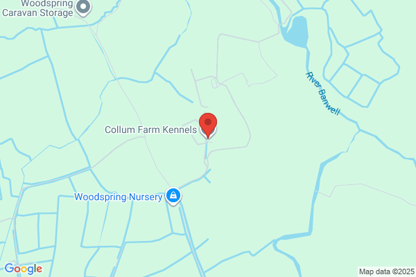 Collum Farm Kennels