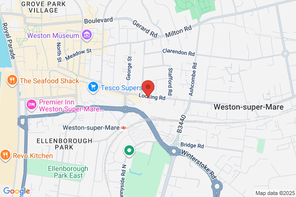 Sycamore