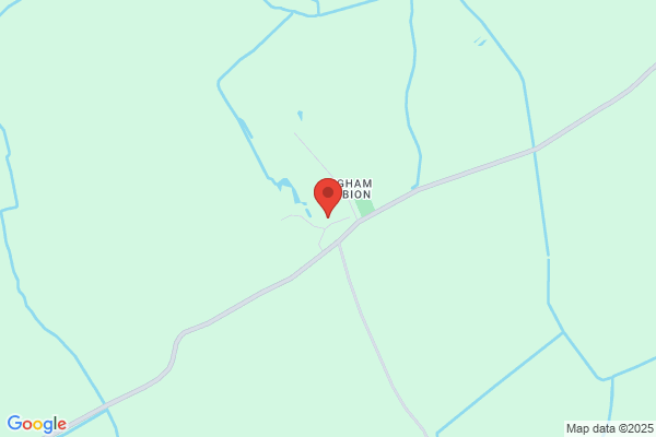 Veterinary Cardiologist
