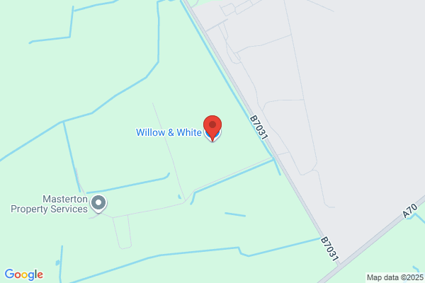 White Willow