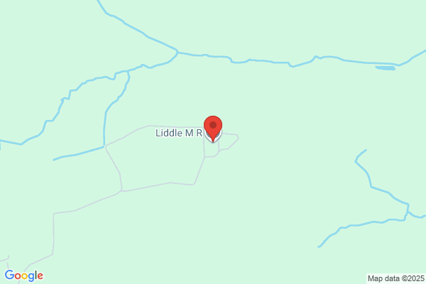 M R Liddle