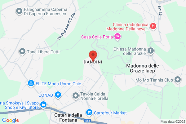 Dandini