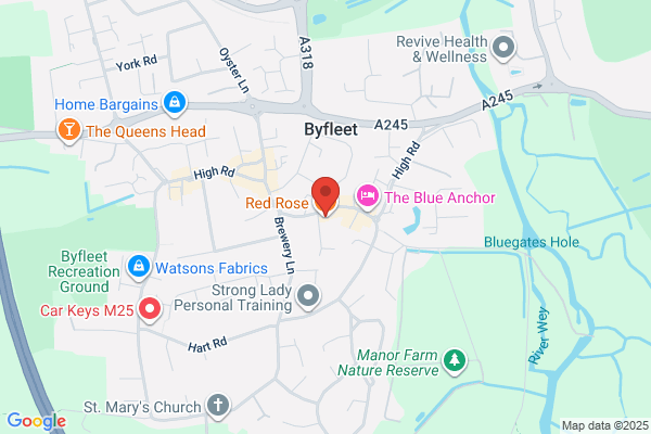 Red Rose Of Byfleet