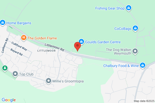 West Dorset Aquatics