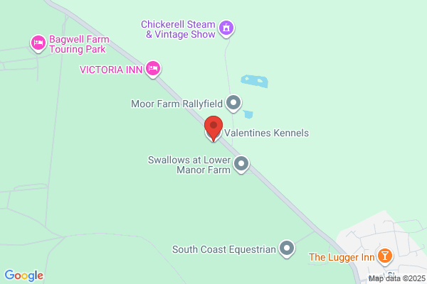 Valentines Boarding Kennels & Cattery