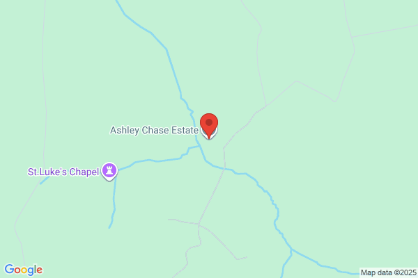Ashley Chase Estate