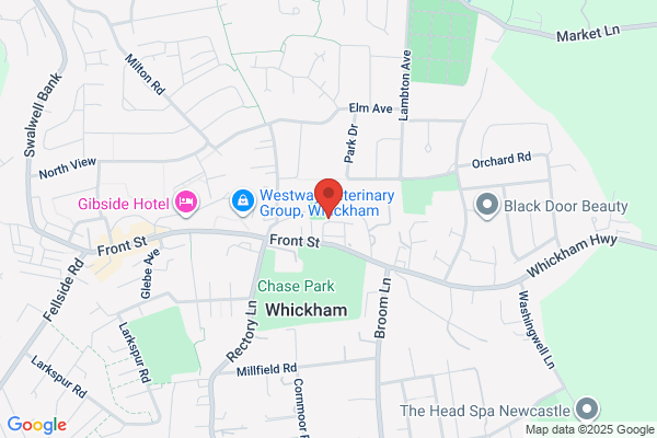 True Homes Estate Agents