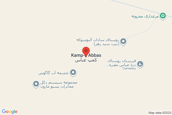 E Abbas