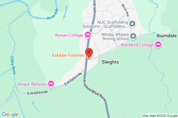 Eskdale Fisheries