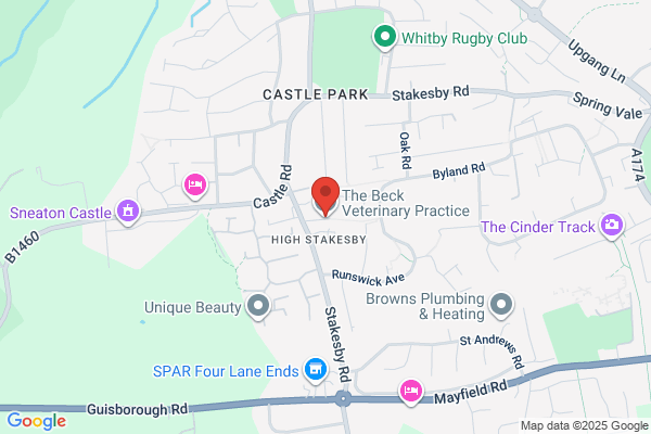 The Beck Veterinary Practice