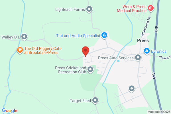 Spring Hill Tree Management