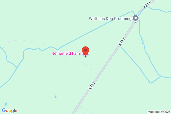 Netherfield