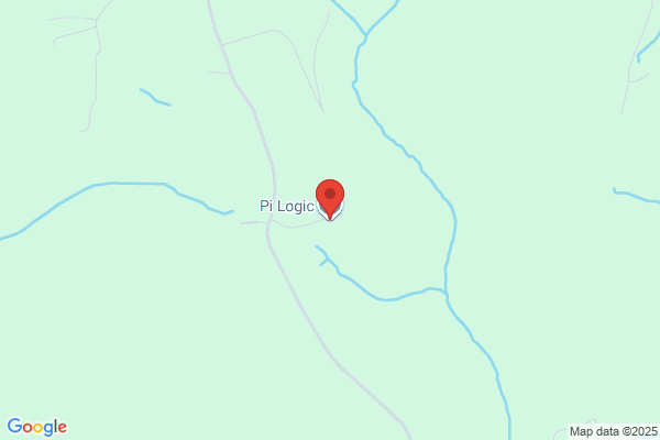 P I Logic Ltd
