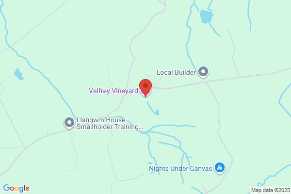 Velfrey Vineyard