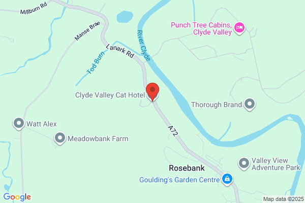 Kealey-Vale Cattery