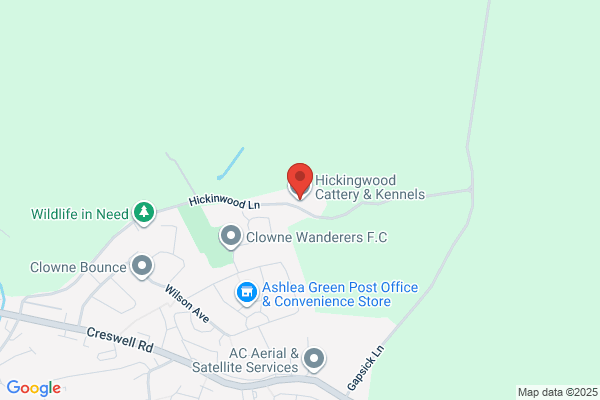 Hickingwood Kennels & Cattery