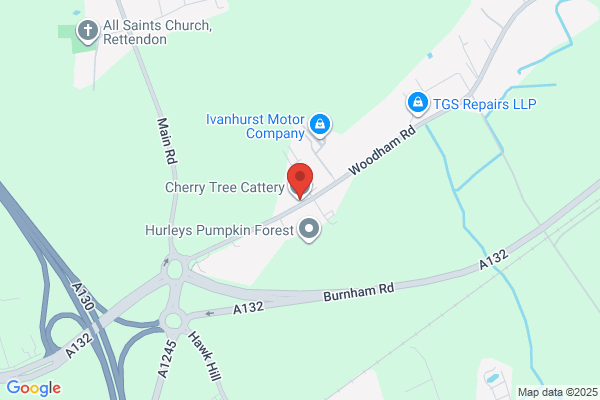 Cherry Tree Cattery