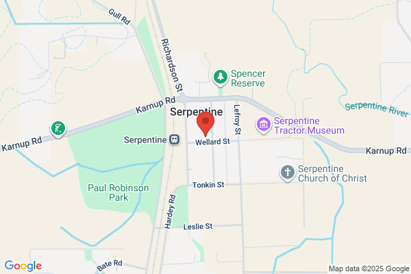 Serpentine Medical Services