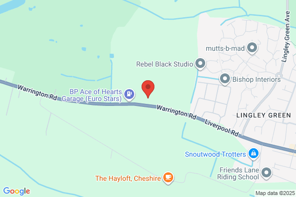 Parkview Dog Grooming