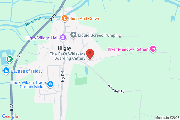 Clenchwarton Cattery