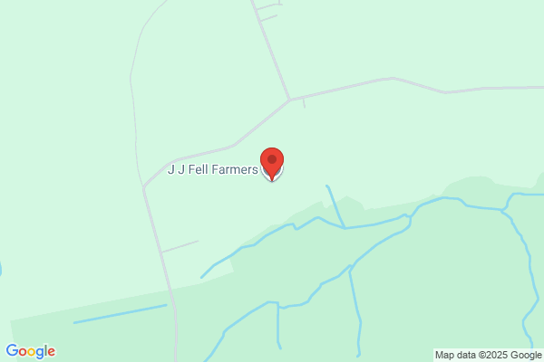 J J Fell