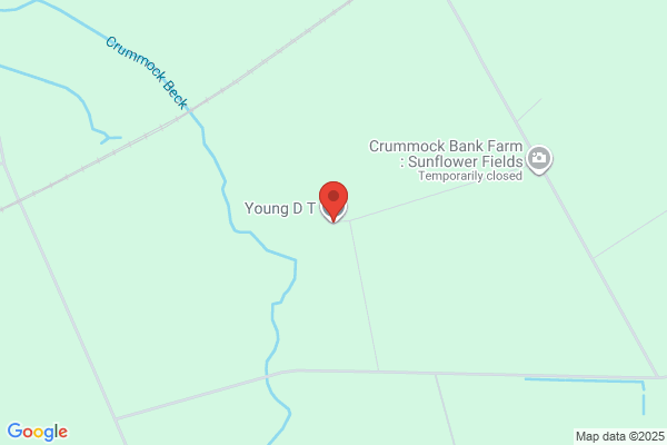 D T Young