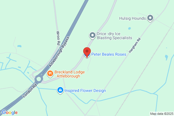 Peter Beales (Roses) Ltd