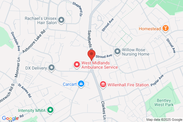 The Cat