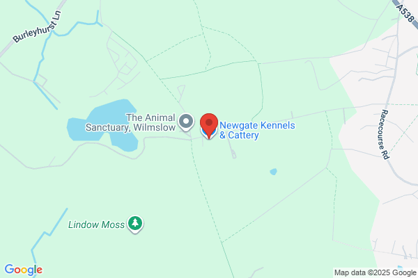 Newgate Kennels & Cattery Ltd