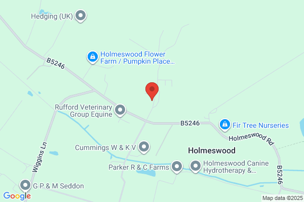 Alliance Fire Systems Ltd