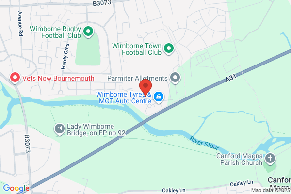 Auto Repairs (Wimborne)