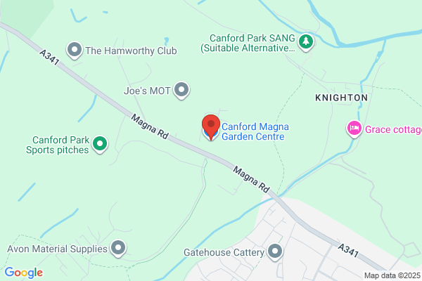 Canford Magna Nursery