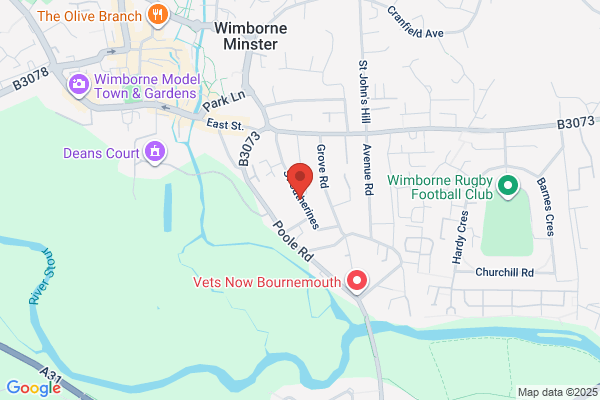 Wimborne Removals Ltd