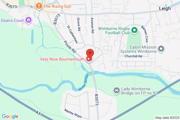 Burrows Veterinary Surgery