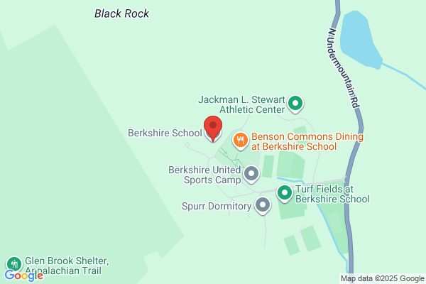The Berkshire School Of Polo