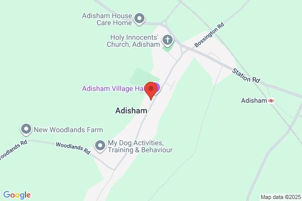 Adisham C Of E Primary School