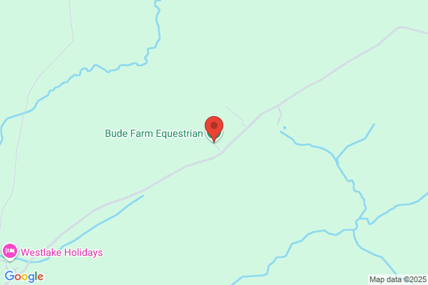Equine Plus