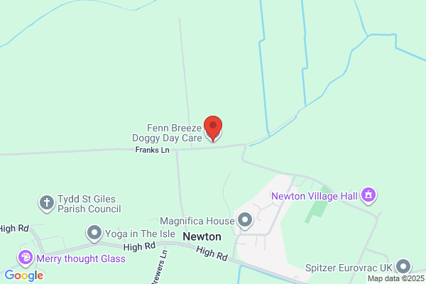 Henry Dog's Daycare
