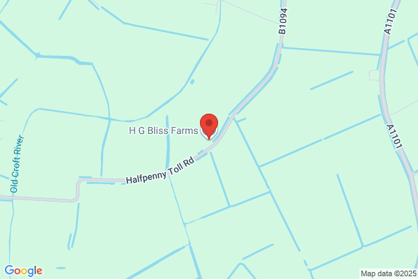 H G Bliss