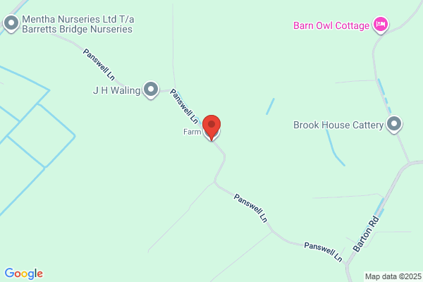Manning Farms