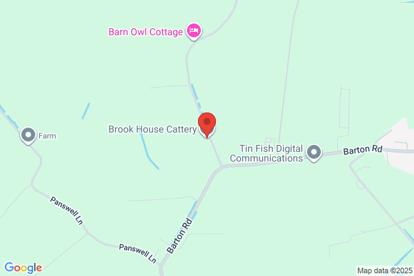 Brook House Cattery