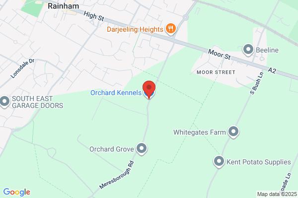 East Belmont Orchard Kennels & Dog Grooming