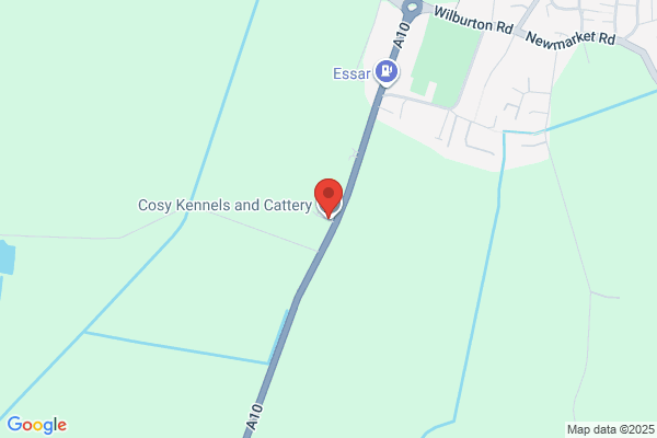 Cosy Kennels & Cattery
