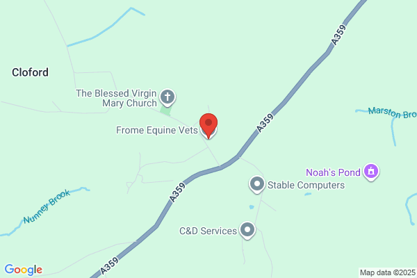 Frome Equine Vets