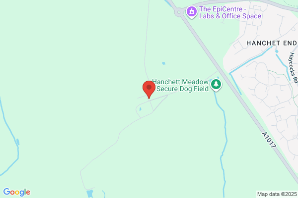 Hanchett Hall Boarding Kennels & Cattery