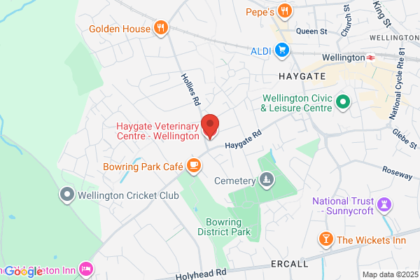 Haygate Veterinary Centre - Wellington