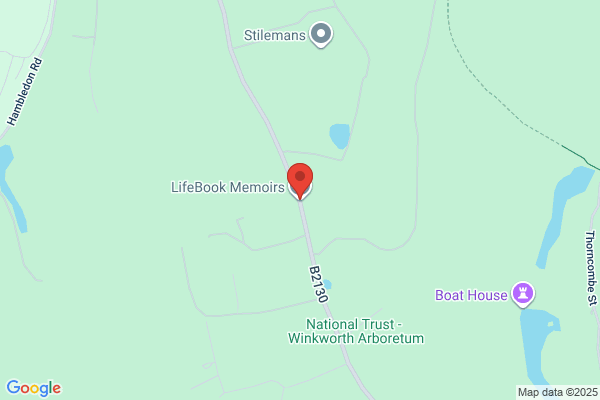 LifeBook