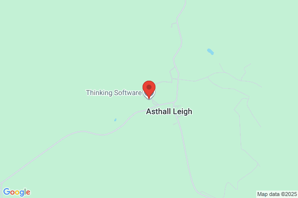 Thinking Software
