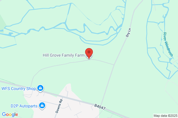 Ringwood Farm
